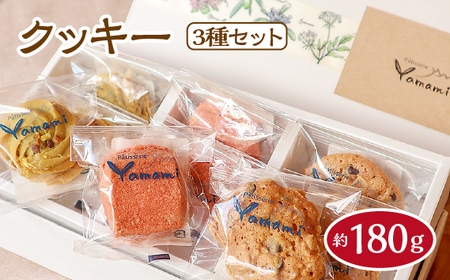 No.505 クッキー3種セット 約180g