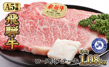 No.535 氷温(R)熟成 飛騨牛A5等級ロース肉ステーキ 計約1.08kg 超高速凍結