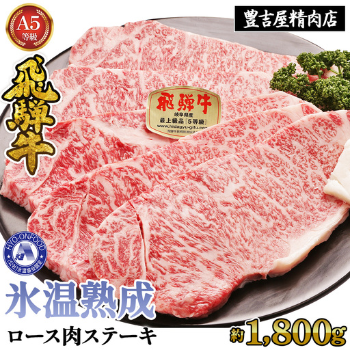 ロース肉ステーキ 10枚（約1800g）　氷温(R)熟成　飛騨牛Ａ５等級 リキッドフリーズ [No.539]