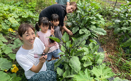 四季折々の田舎暮らし体験付き宿泊券 [No.773]