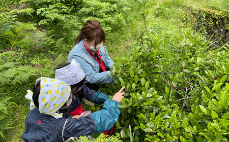 四季折々の田舎暮らし体験付き宿泊券 [No.773]