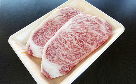 牛肉 飛騨牛 サーロイン ステーキ セット 600g（1枚 約300g×2枚） 黒毛和牛 A5 美味しい お肉 牛 肉 和牛 サーロインステーキ 【岐阜県瑞穂市】