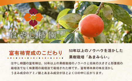 はやし柿園の贈答用富有柿3.5kg 2Lサイズ 12個 高糖度 濃厚 秋の味覚 ギフト ※2025年11月中旬頃より順次発送予定 ※離島への配送不可