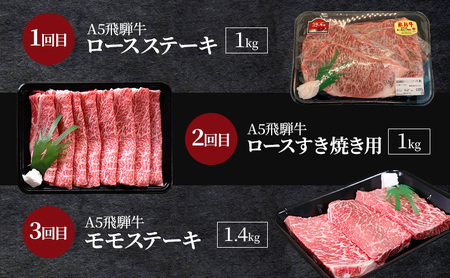 飛騨牛 A5 大満足 飛騨牛三昧 6か月 定期便 ステーキ すき焼き 焼肉【年内発送 12/15迄受付】