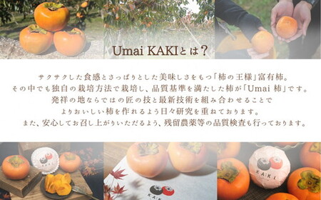 Umai 柿 富有 12玉 3.5kg ｜柿 柿 柿 柿 柿 柿※2025年11月中旬～12月中旬頃に順次発送予定