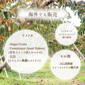 Umai 柿 富有 12玉 3.5kg ｜柿 柿 柿 柿 柿 柿※2025年11月中旬～12月中旬頃に順次発送予定