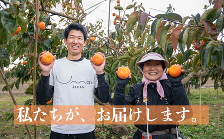 Umai 柿 富有 プレミアム 6玉 2.0kg ※2026年11月中旬～12月中旬頃に順次発送予定