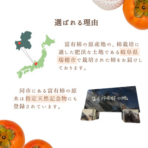 Umai 柿 富有 プレミアム 6玉 2.0kg ※2026年11月中旬～12月中旬頃に順次発送予定