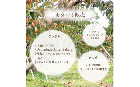 Umai 柿 富有 極 3玉 ※2026年11月中旬～12月中旬頃に順次発送予定