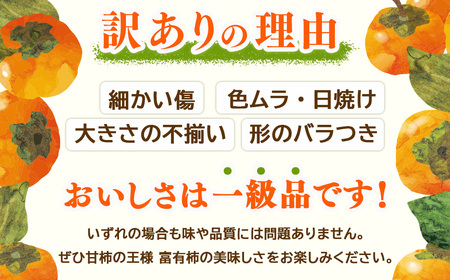 【先行予約】うま杉の富有柿 10kg 30玉(3L) ※2026年11月中旬～12月中旬頃に順次発送予定