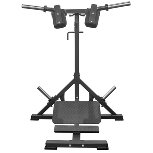 ALBATROSS HS2213 ディープスクワット&カーフレイズ|トレーニング フィットネス 器具 筋トレ スポーツ 運動 ダイエット ※北海道・沖縄・離島への配送不可