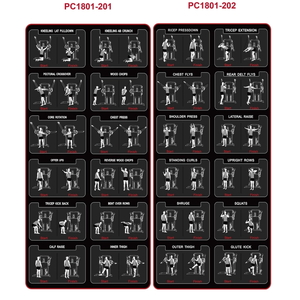 PC PC1801 ファンクショナルトレーナー|トレーニング フィットネス 器具 筋トレ スポーツ 運動 ダイエット ※北海道・沖縄・離島への配送不可