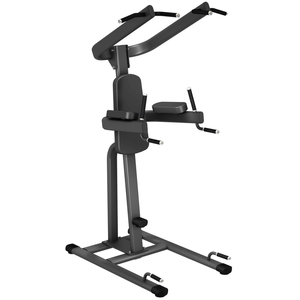 EAGLE G210 チン / ディップ ｜トレーニング フィットネス 器具 筋トレ スポーツ 運動 ダイエット ※北海道・沖縄・離島への配送不可