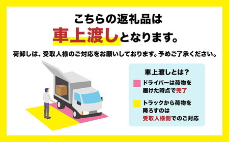 EAGLE G210 チン / ディップ ｜トレーニング フィットネス 器具 筋トレ スポーツ 運動 ダイエット ※北海道・沖縄・離島への配送不可
