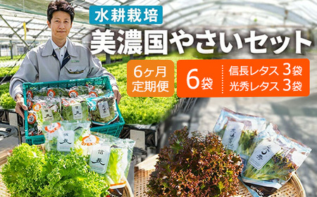 【6ヶ月定期便】美濃国やさいセット 計6袋 ｜ 野菜 野菜セット レタス フリルレタス 水耕栽培 安全 安心 衛生的 新鮮 シャキシャキ 産地直送 サラダ サンドイッチ ※離島への配送不可