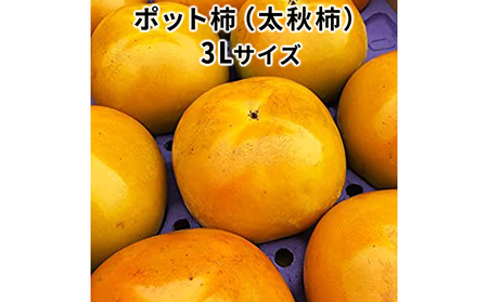 こだわり栽培ポット柿（太秋柿） 3Lサイズ9個入り