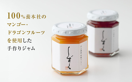 マンゴー・ドラゴンフルーツジャム詰合わせ ｜果物 マンゴージャム 朝食 パン 贈り物 ギフト