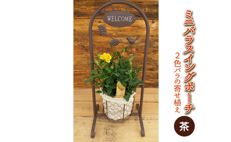 ミニバラスイングポーチ（茶色）2～3色のバラの寄せ植え 植物 　※2026年4月下旬～5月下旬頃に順次発送予定　※離島への配送不可