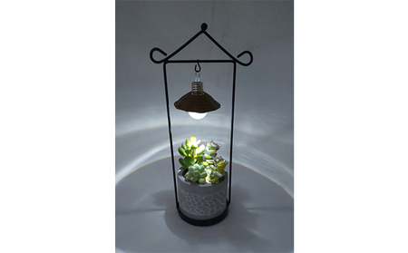 多肉植物　アジアン・プランツルーフとナイトテラリウムしずくのセット インテリア 照明 ライト 　※2025年7月中旬頃より順次発送予定　※離島への配送不可