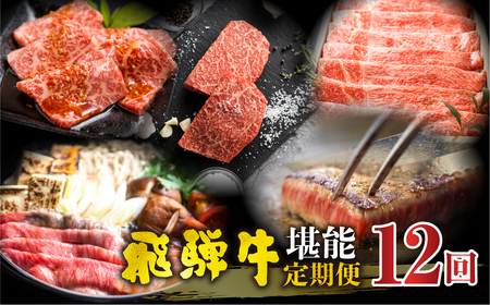 まるごと定期便　飛騨牛堪能 12回 定期便 和牛 国産牛 黒毛和牛 12ヶ月 1年 年間 毎月 すき焼き すきやき しゃぶしゃぶ ステーキ 切落し 切り落とし 焼肉 やきにく 赤身 霜降り 食べ比べ [Q2206]