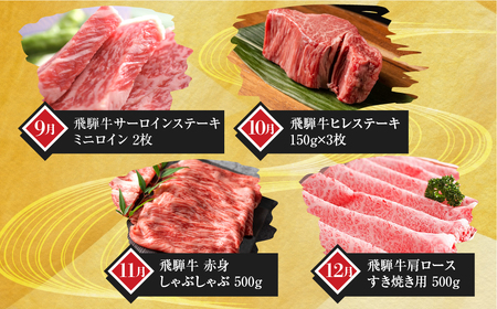 まるごと定期便　飛騨牛堪能 12回 定期便 和牛 国産牛 黒毛和牛 12ヶ月 1年 年間 毎月 すき焼き すきやき しゃぶしゃぶ ステーキ 切落し 切り落とし 焼肉 やきにく 赤身 霜降り 食べ比べ [Q2206]
