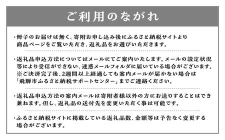 定期便 お楽しみ わたしだけの選べる 定期便♪ 飛騨牛 日本酒 米