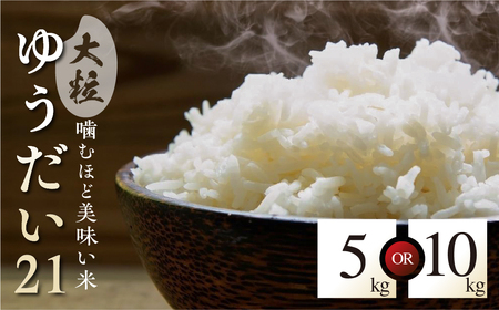 特別栽培米 ゆうだい21 10kg 米 10キロ 阪口農園