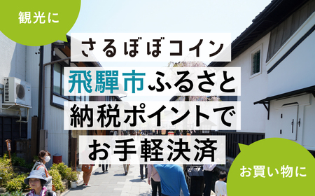 さるぼぼコイン　飛騨市ふるさと納税ポイント 3,000pt [Q2297]