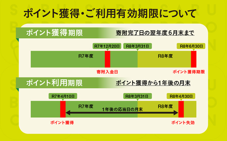 さるぼぼコイン　飛騨市ふるさと納税ポイント 6,000pt [Q2297]