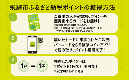 さるぼぼコイン　飛騨市ふるさと納税ポイント 9,000pt [Q2297]