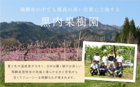 黒内果樹園の桃ジュース 10本セット