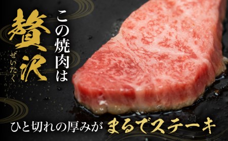 飛騨牛 ヒレ肉 焼肉用 稀少部位ヒレの最高ランク5等級 飛騨市推奨特産品　古里精肉店謹製[D0073]