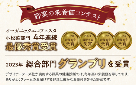 《期間・数量限定》ひだかみ流葉　コクと旨味 有機大玉トマト ミニトマトのセット　有機JAS認定 合計1kg[A0091] syun8