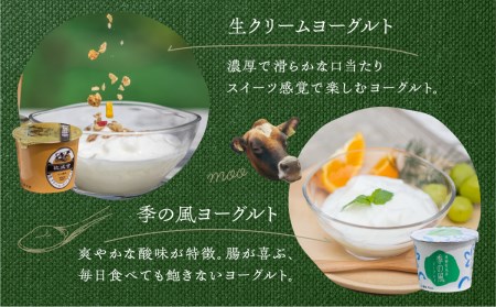 飛騨の牛乳屋こだわり　食べるタイプのヨーグルト２種類盛沢山20個セット[A0093]
