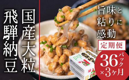 大粒 飛騨納豆 定期便 3パック×12個 3カ月 定期便