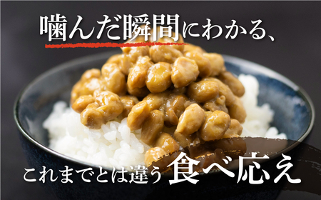 大粒 飛騨納豆 定期便 3パック×12個 4カ月 定期便