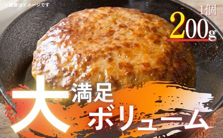 【大容量】デミグラスハンバーグ 2kg 湯せん 大容量