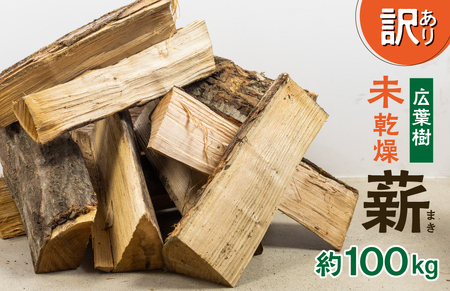 訳あり 未乾燥 広葉樹ミックス薪 30～40cm 約100kg 薪 [Q1913xx]