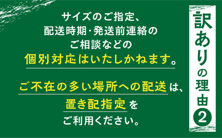 訳あり 未乾燥 広葉樹ミックス薪 30～40cm 約100kg 薪 [Q1913xx]