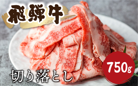《訳あり》飛騨牛 切り落としスライス 750g 焼肉 牛肉 黒毛和牛 和牛 すき焼き 焼き肉 訳アリ わけあり ワケアリ 不揃い 部位おまかせ 煮物 飛騨古川［Q2526］18000円
