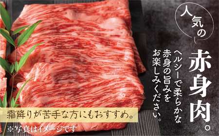 飛騨牛 赤身 しゃぶしゃぶ 400g 牛肉 和牛 カタ モモ スライス 飛騨市[Q1036_sha_4] 20000円 2万円
