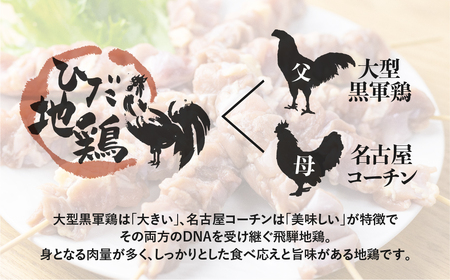 福袋 飛騨地鶏三昧 地鶏 モモ肉 手羽先 手羽元 ささみ 串焼き 合計2kg超 鶏肉 飛騨[B0256rex]