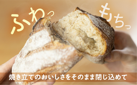 市東製作所おまかせパンセット Mサイズ（6-7個程度）冷凍パン [Q2648]