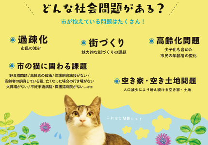 SAVE THE CAT HIDA PROJECT　ネコリパブリックの保護猫シェルター＆ホスピスに名前を刻める権利[neko07n]