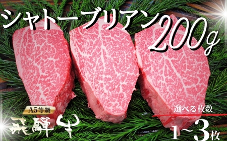 飛騨牛 5等級 シャトーブリアンステーキ 200g×3枚 〈岐阜県産〉シャトーブリアン ステーキ