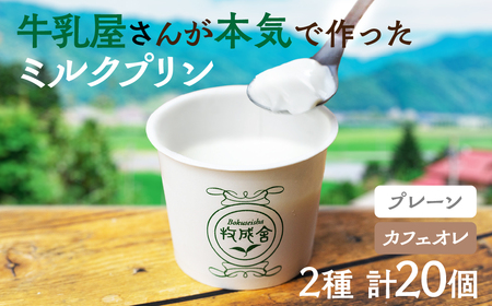 牛乳屋さんのつくるミルクの自然なおいしさを詰め込んだ濃厚ミルクプリン2種 20個 プレーン カフェオレ お菓子 スイーツ 洋菓子 寒天 冷凍発送 卵不使用 生クリーム不使用 食べ比べ  牧成舎 [Q2664]