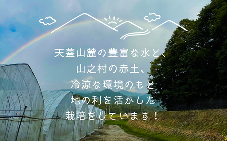 先行予約 令和7年産【6月～10月発送】奥飛騨山之村 清水さんちのほうれん草 180g×2袋 野菜 葉物野菜 ホウレンソウ ほうれんそう 産地直送[Q2731_25]