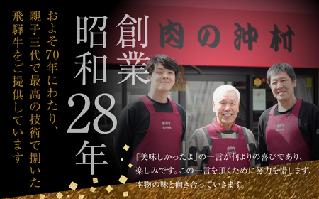飛騨牛づくし定期便 5回 2人前 定期便