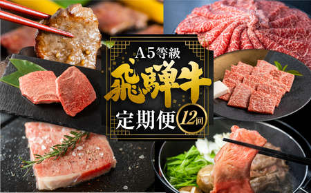 飛騨牛づくし定期便 12回 2人前 定期便