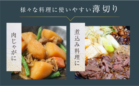 厳選　飛騨牛　切り落とし 切落し A4・A5ランク 1kg[D0078]